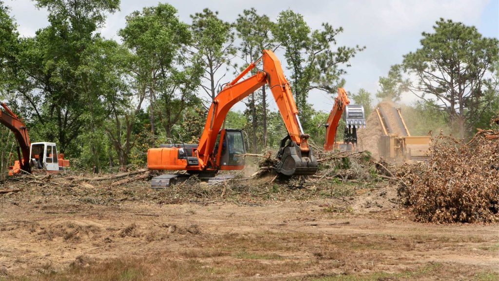 Brush removal crew clearing overgrown land in Huntsville