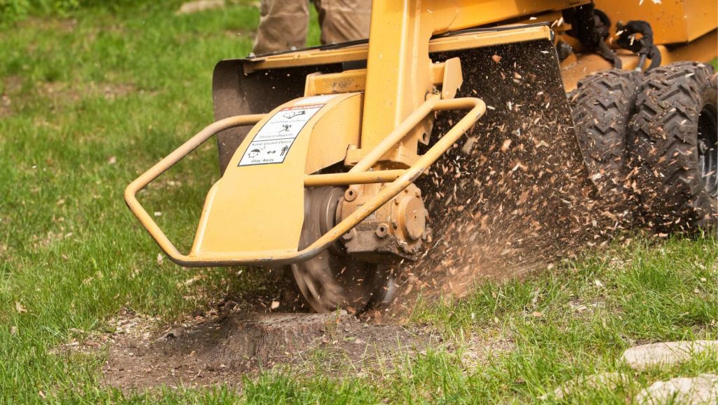 Stump grinder removing stump on Alabama property