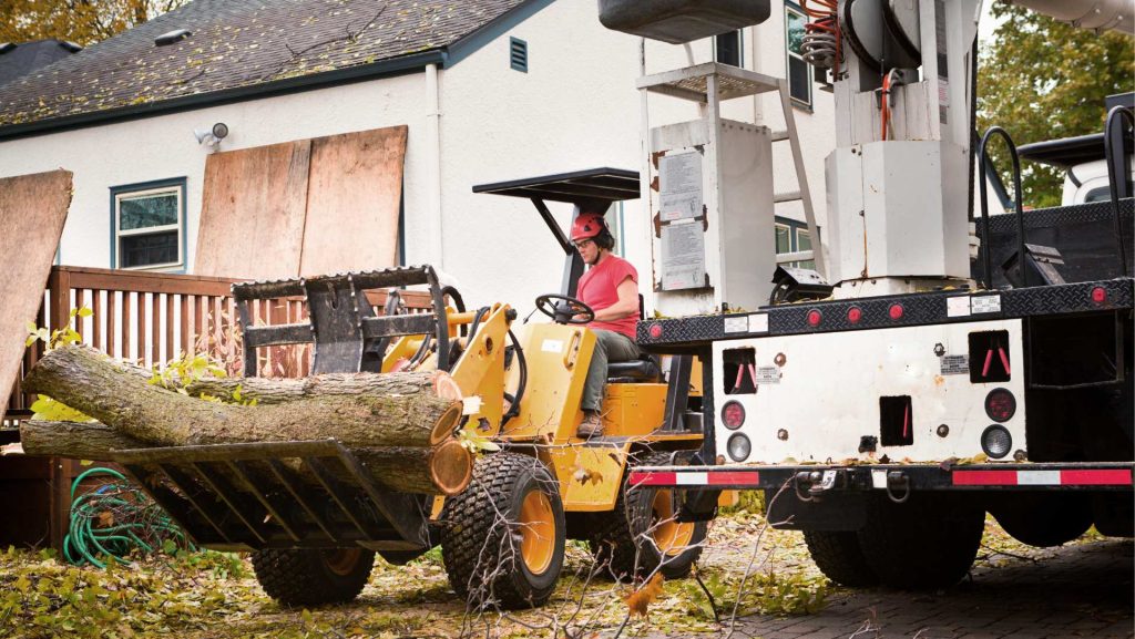 Tree removal service in progress in Huntsville, AL