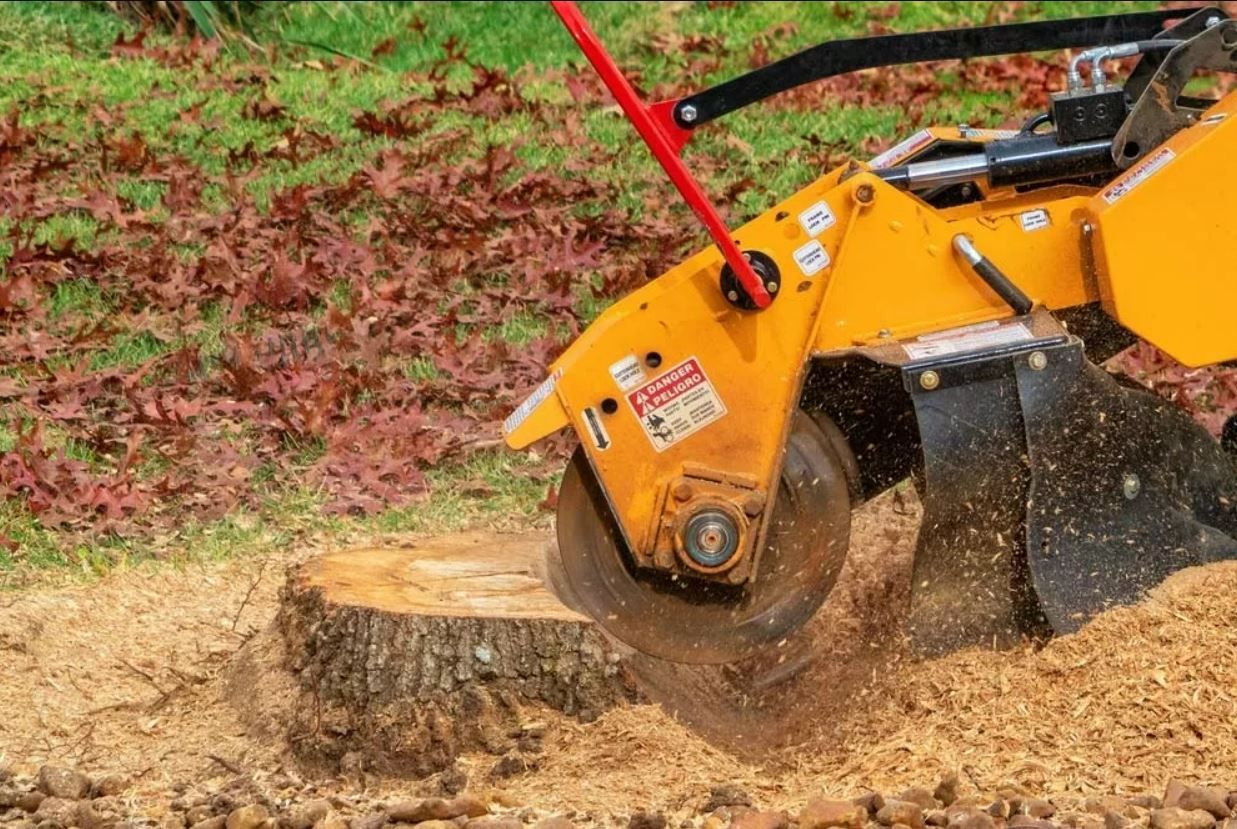 Stump Removal in Huntsville, AL